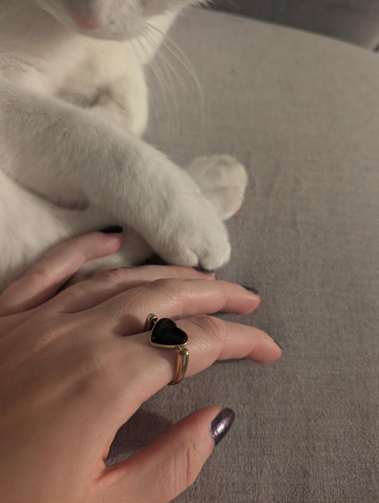Onyx Heart-shaped Crystal Element - Customer Photo From Jamie