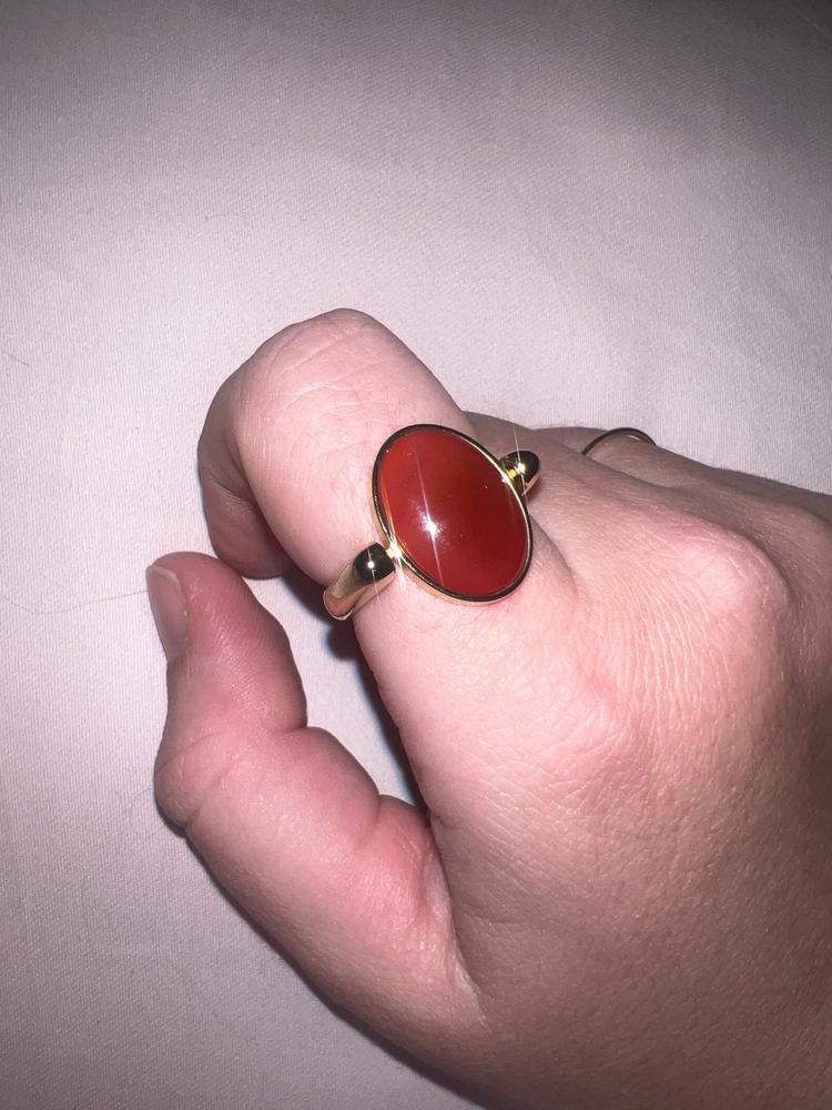 Carnelian Oval Crystal Element - Customer Photo From Caitlin Evans