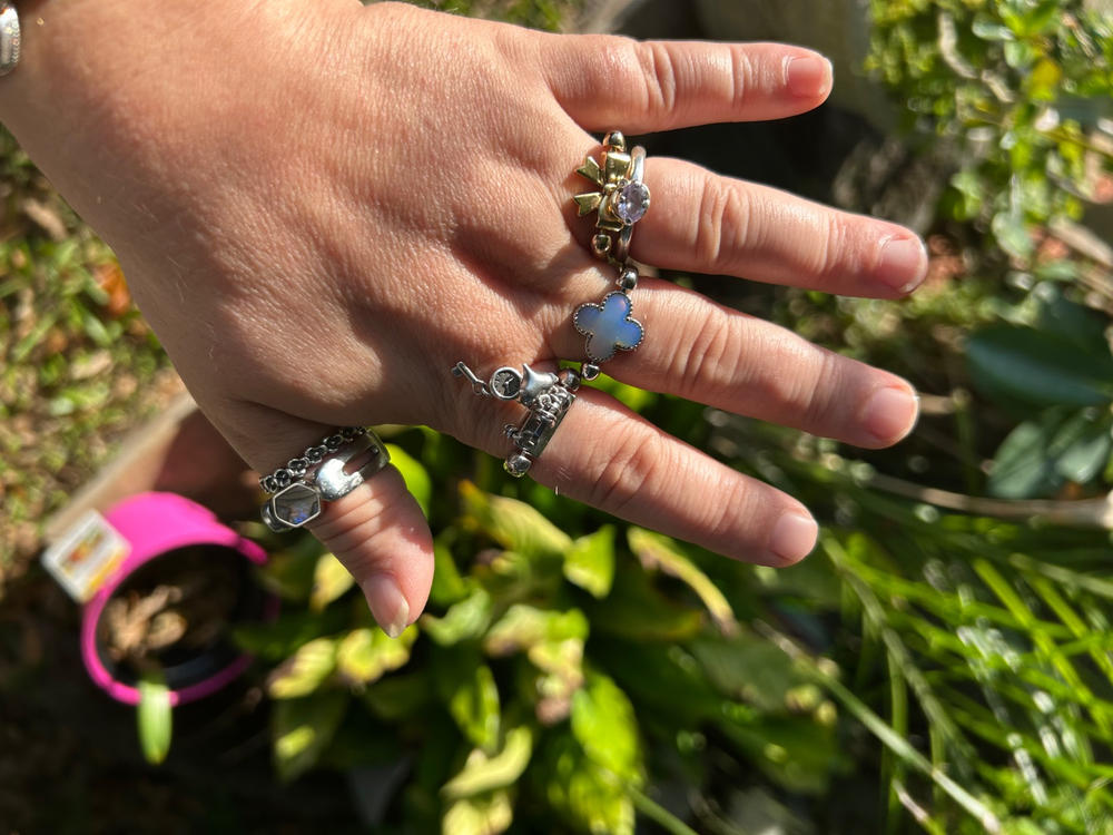 Bow Element - Customer Photo From Teri Hutchins