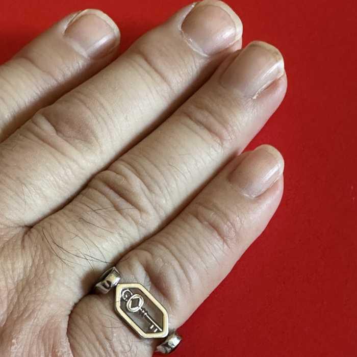 Vintage Fusion Vessel Collection – Tomi Collab - Customer Photo From Ted R.