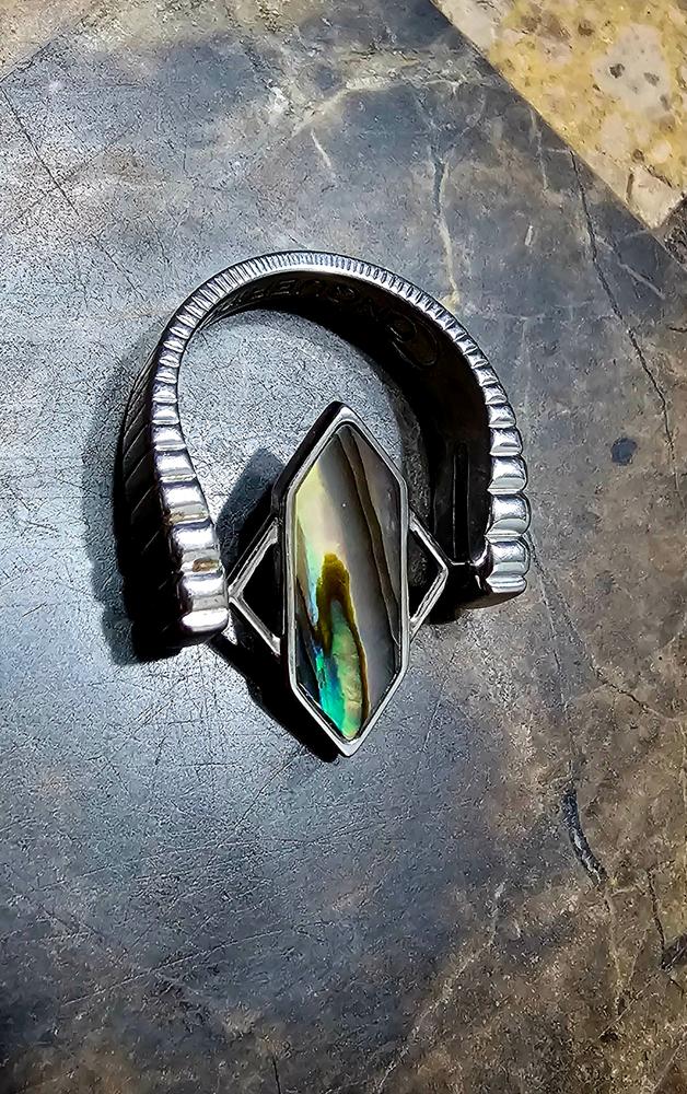 Abalone Shell TwinPoint™ Crystal Element – CK Collection - Customer Photo From Sarah G