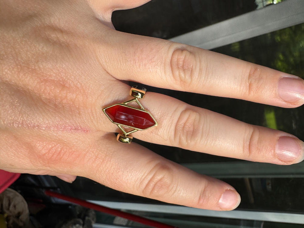 Carnelian TwinPoint™ Crystal Element - Customer Photo From Whitney Denman