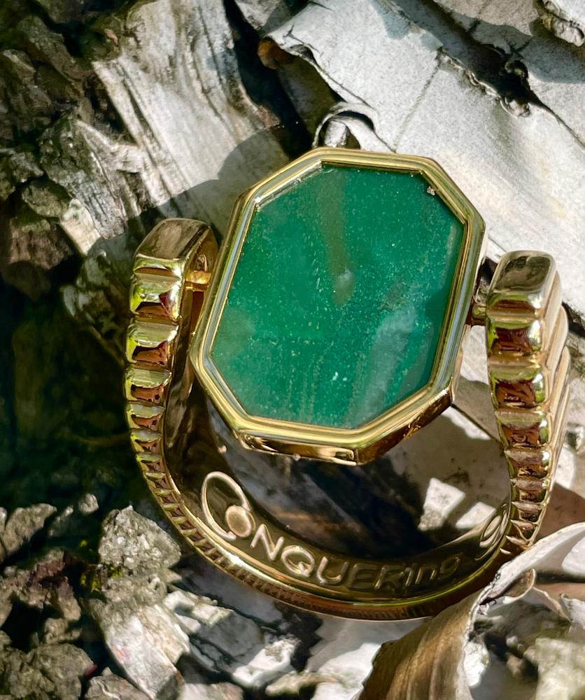 African Jade Octangle™ Crystal Element - Customer Photo From Diane