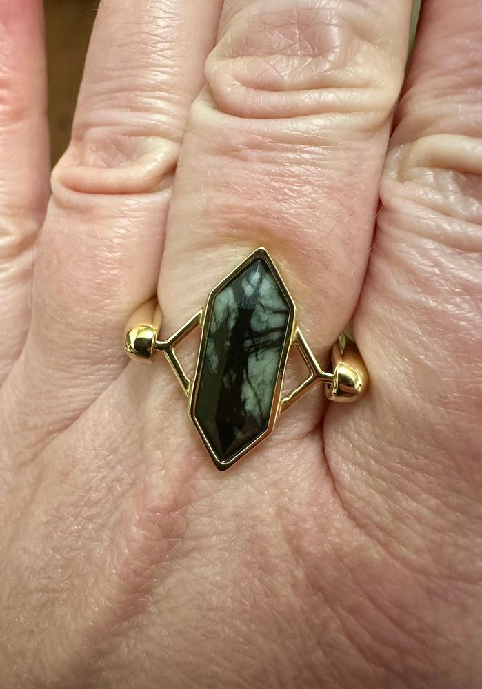 Black Picasso Jasper TwinPoint™ Crystal Element - Customer Photo From Trudy