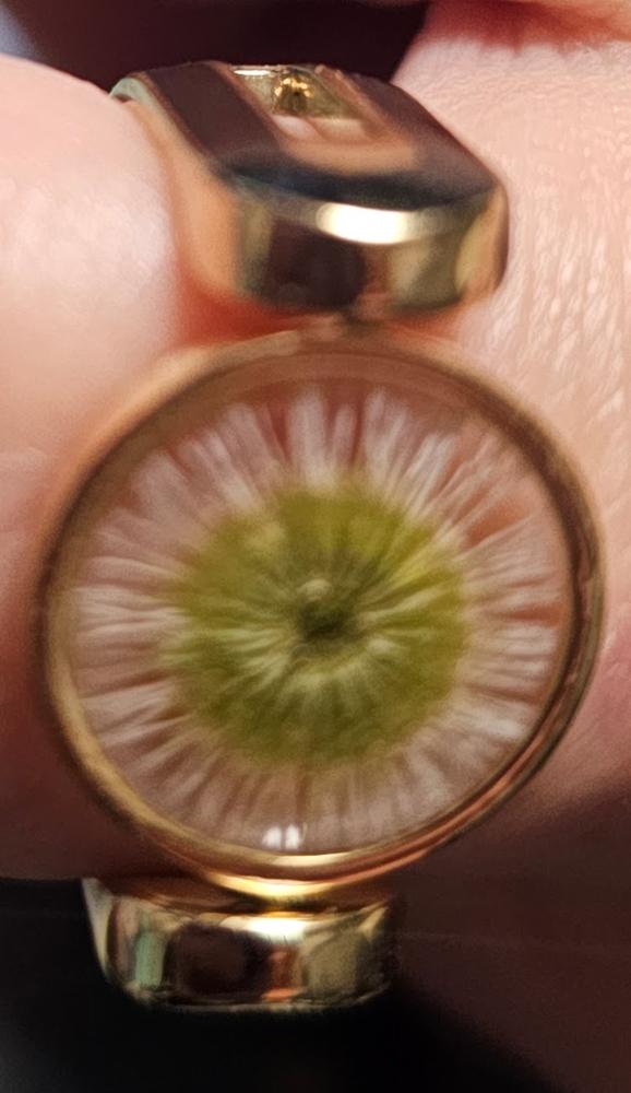 Fleabane Daisy – FoundKept Collab - Customer Photo From Regina