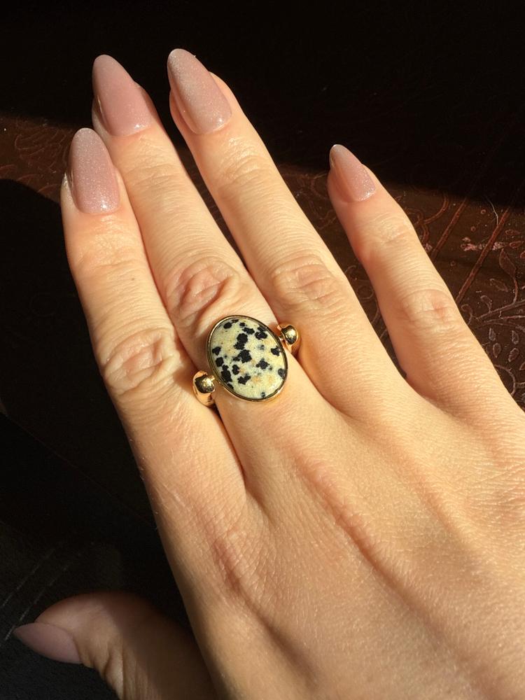 Dalmatian Jasper Oval Crystal Element - Customer Photo From Jessi B