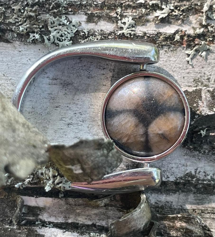 Chiastolite "Cross Stone" Round Crystal Element - Customer Photo From Diane