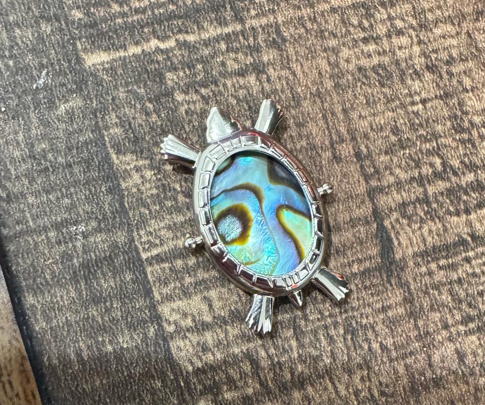Turtle Clip-On - Customer Photo From Darlene Swanson