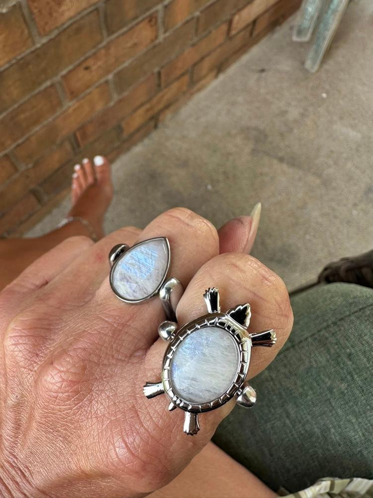 Turtle Clip-On - Customer Photo From jenny