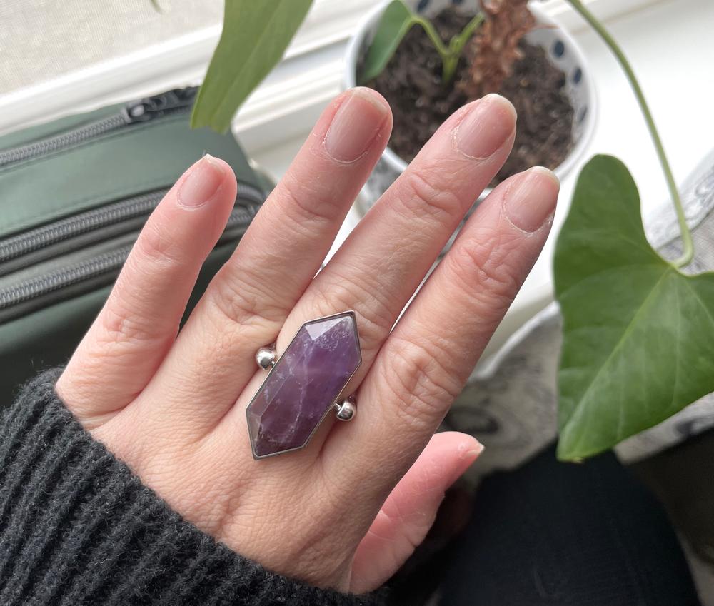 Titan TwinPoint™ Crystal Element – Studio Line - Customer Photo From Diane