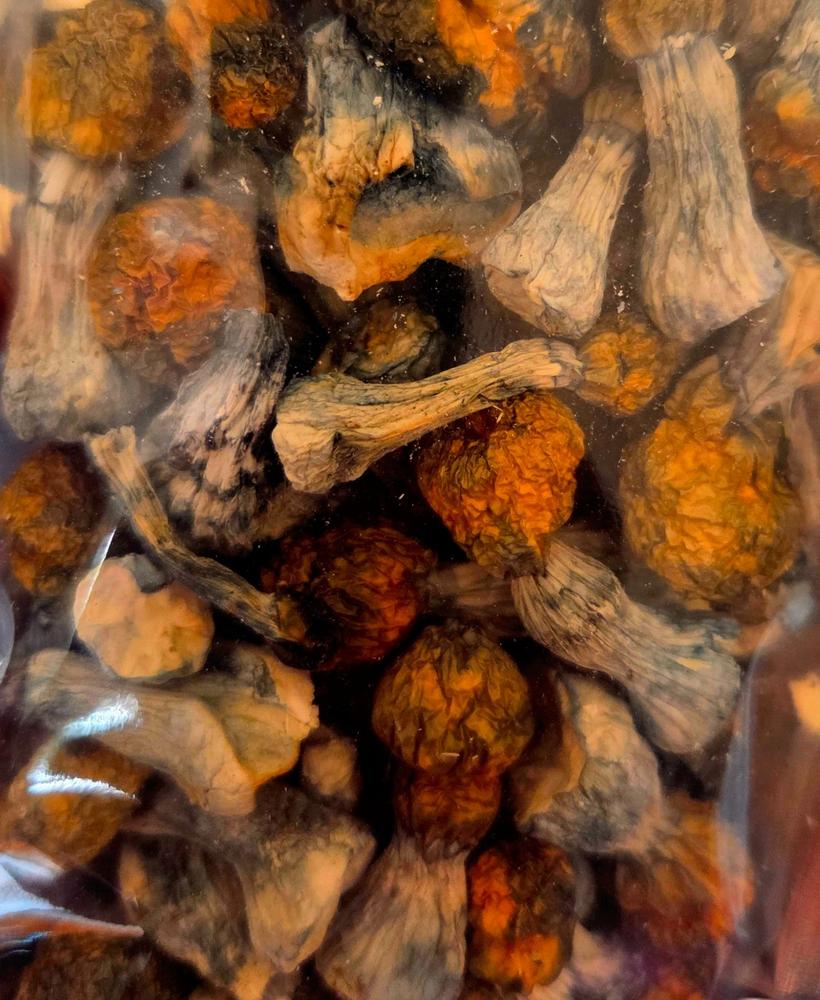 Bluey Vuitton Magic Mushrooms - 28g - Customer Photo From C Brochu