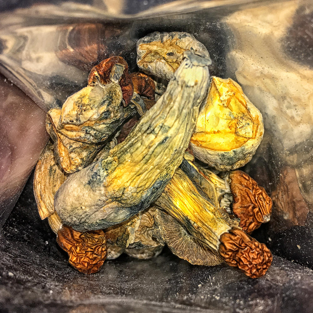 Blue Meanie Magic Mushrooms - 28g - Customer Photo From Neil Macleod
