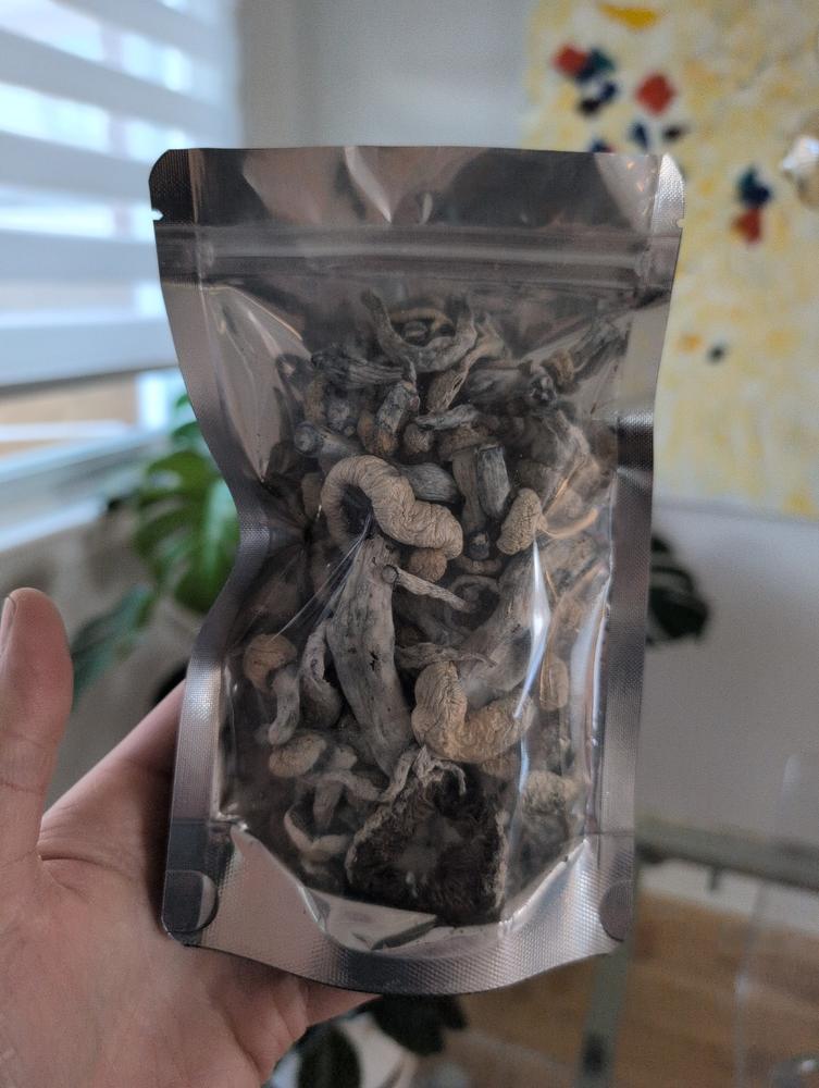 Golden Teachers Magic Mushrooms - 28g - Customer Photo From Frédéric Haentjens