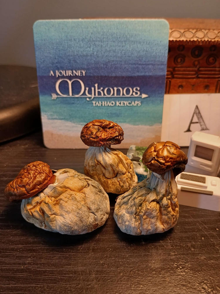 Gold Member Magic Mushrooms - 28g - Customer Photo From August Booth