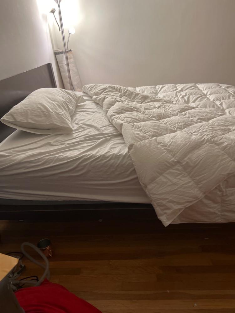 Bavarian 700 Down Comforter - Customer Photo From Anonymous