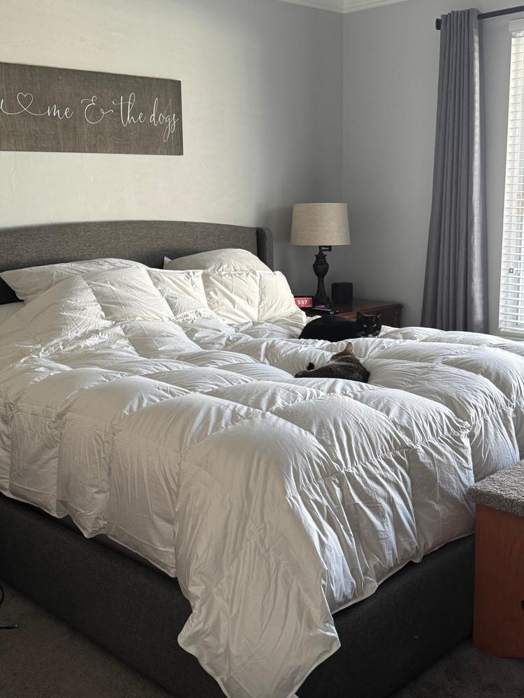 Bavarian 700 Down Comforter - Customer Photo From Liz