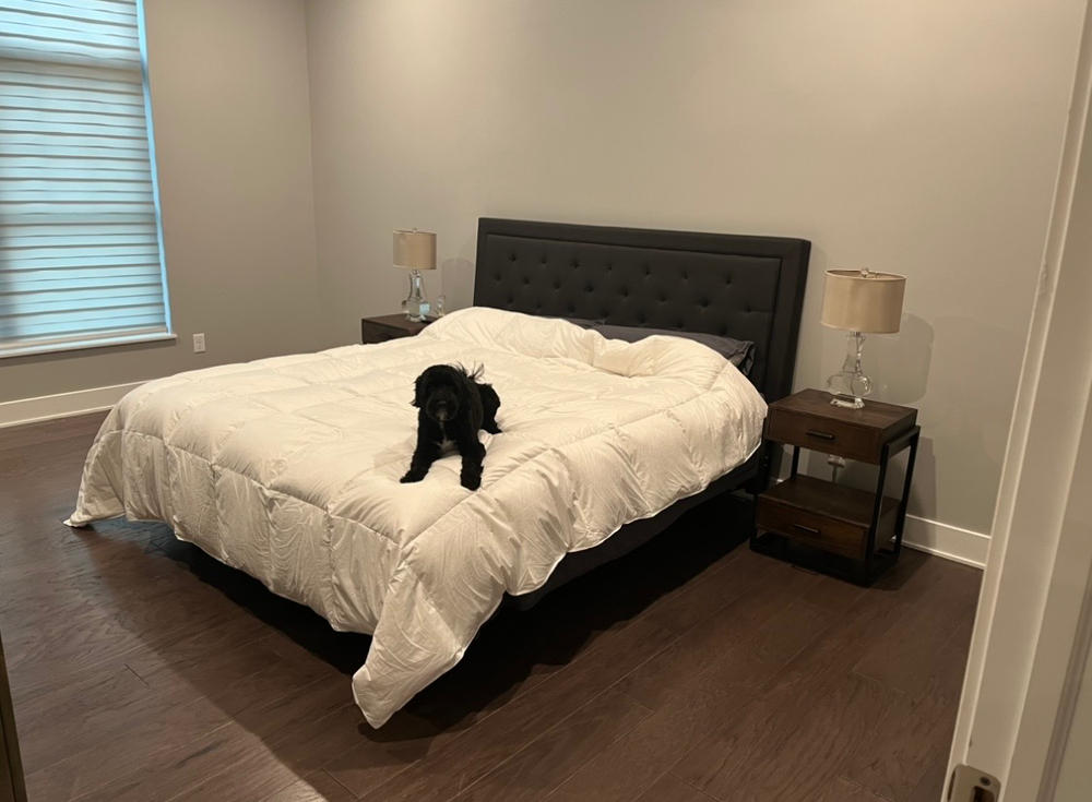 Bavarian 700 Down Comforter - Customer Photo From Michael Willey