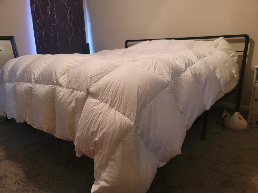 Bavarian 850 Down Comforter - Customer Photo From Jessica Williams