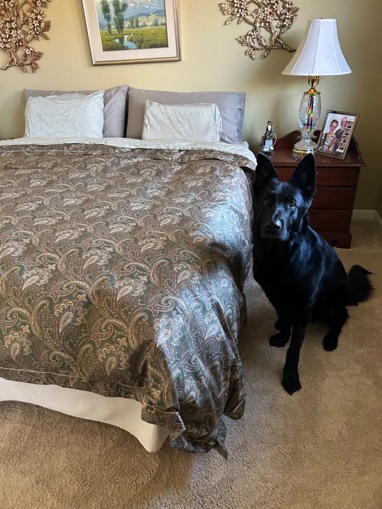 Organic Bavarian 850 Down Comforter - Customer Photo From Anonymous