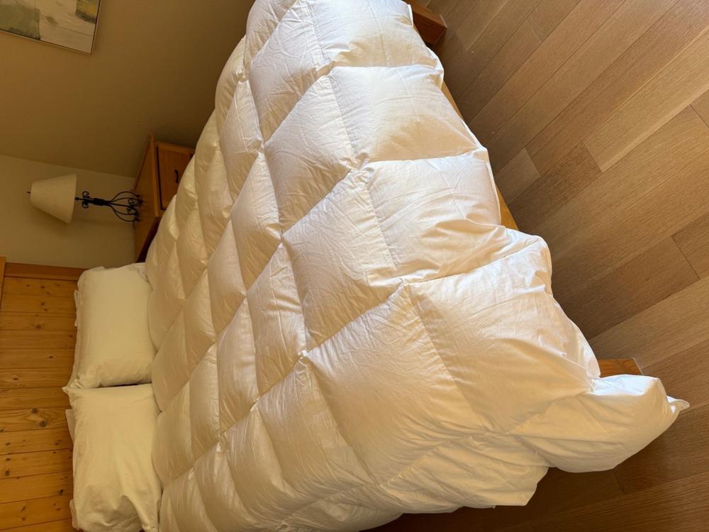 Bavarian 850 Down Comforter - Customer Photo From Anonymous