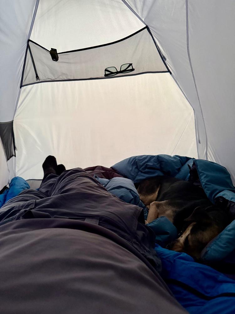 Limited Edition Upcycled Mystery Down Blanket - Customer Photo From Anonymous