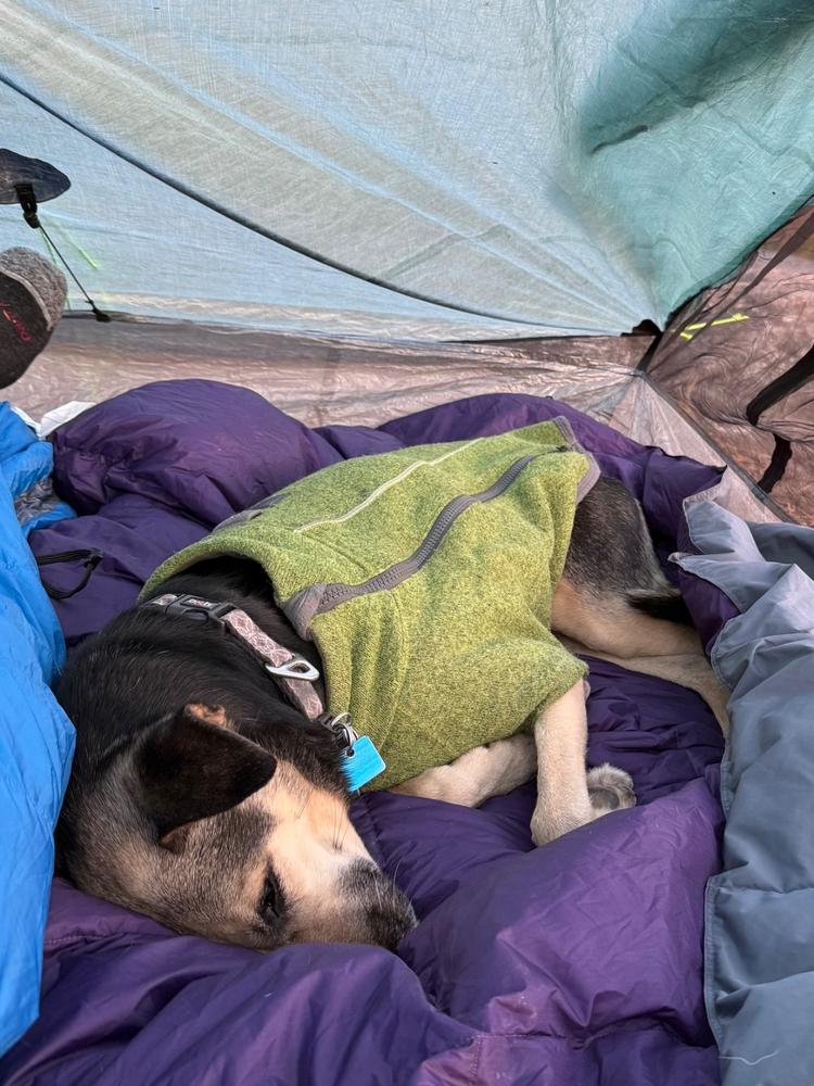 Limited Edition Upcycled Mystery Down Blanket - Customer Photo From Anonymous