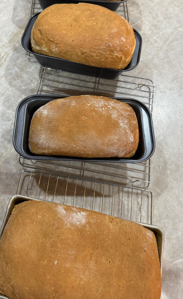 Heritage Bread Blend Flour - Customer Photo From Mary Ashenfelter