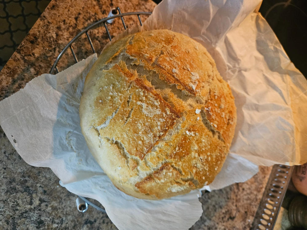 Heritage Bread Blend Flour - Customer Photo From Katrina Goldberg