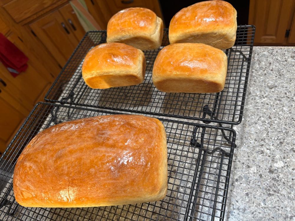 Heritage Bread Blend Flour - Customer Photo From Wendee McCoy