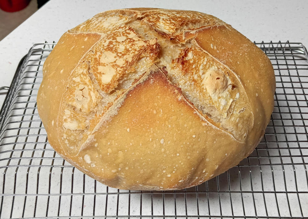 Heritage Bread Blend Flour - Customer Photo From Judy Kolstad
