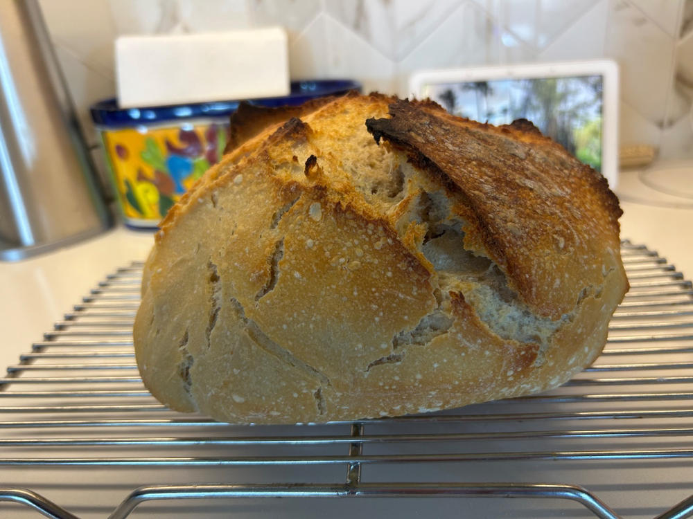 Heritage Bread Blend Flour - Customer Photo From Susan Brownlee