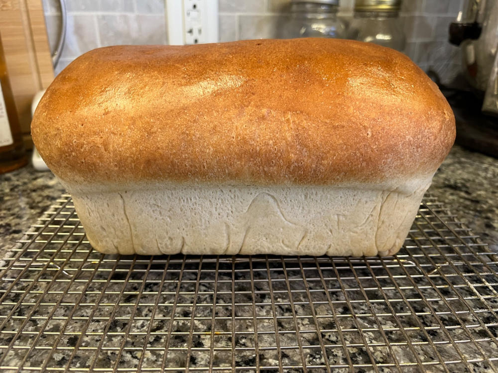 Heritage White Flour - Customer Photo From Stefany Grove