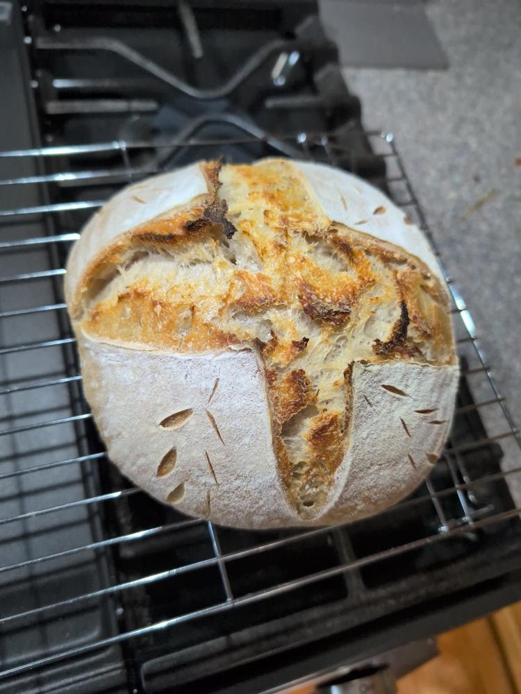 Heritage White Flour - Customer Photo From Liberty A Snyder