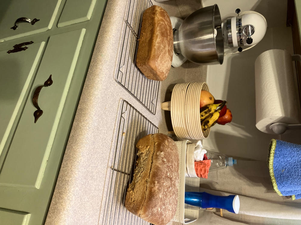Heritage Whole Wheat Flour - Customer Photo From Allison S.