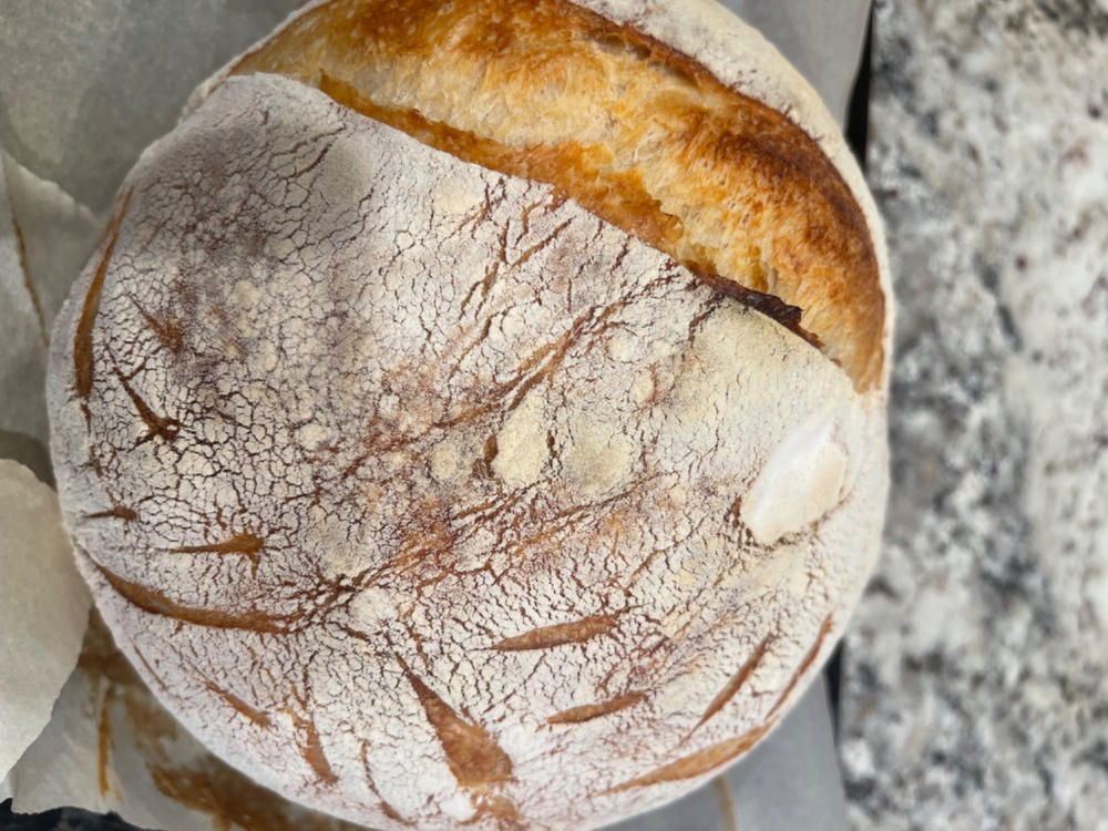 Ultra-Fine Heritage Whole Wheat Flour - Customer Photo From Susan E.