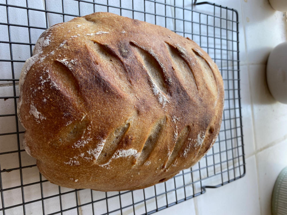 Heritage Whole Wheat Flour - Customer Photo From Carol D.