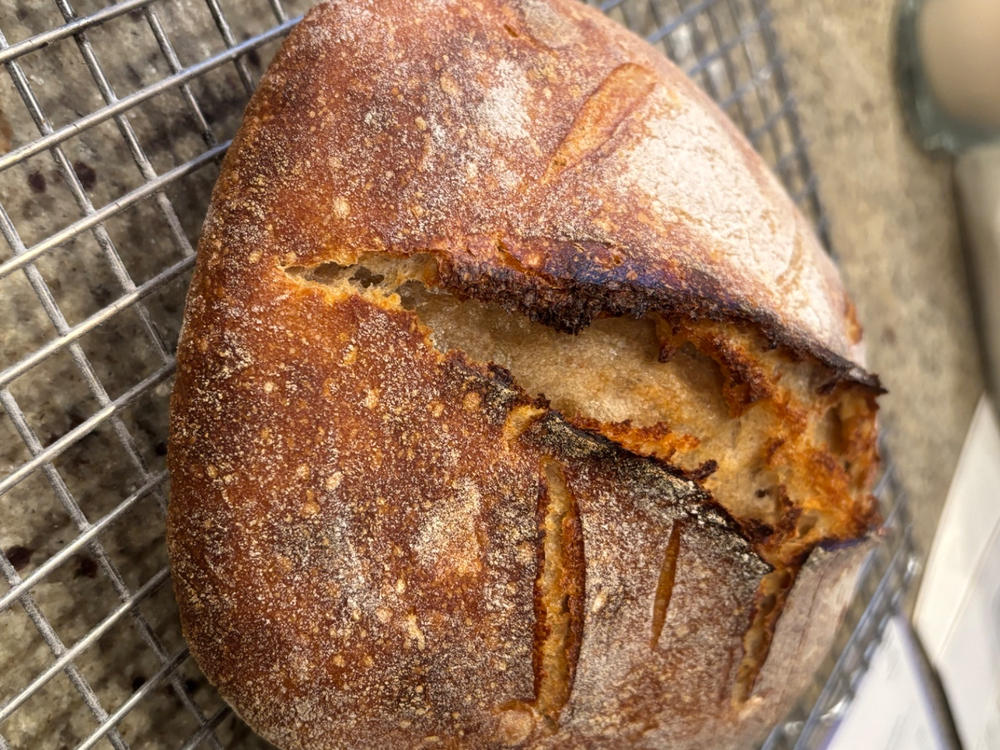 Heritage Whole Wheat Flour - Customer Photo From Kate Reschenberg