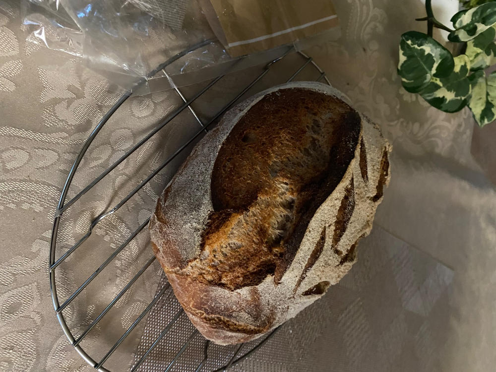 Ultra-Fine Heritage Whole Wheat Pastry Flour - Customer Photo From Carol Dreifus