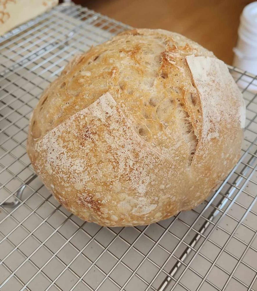 Ultra-Fine Heritage Whole Wheat Pastry Flour - Customer Photo From Ann M.