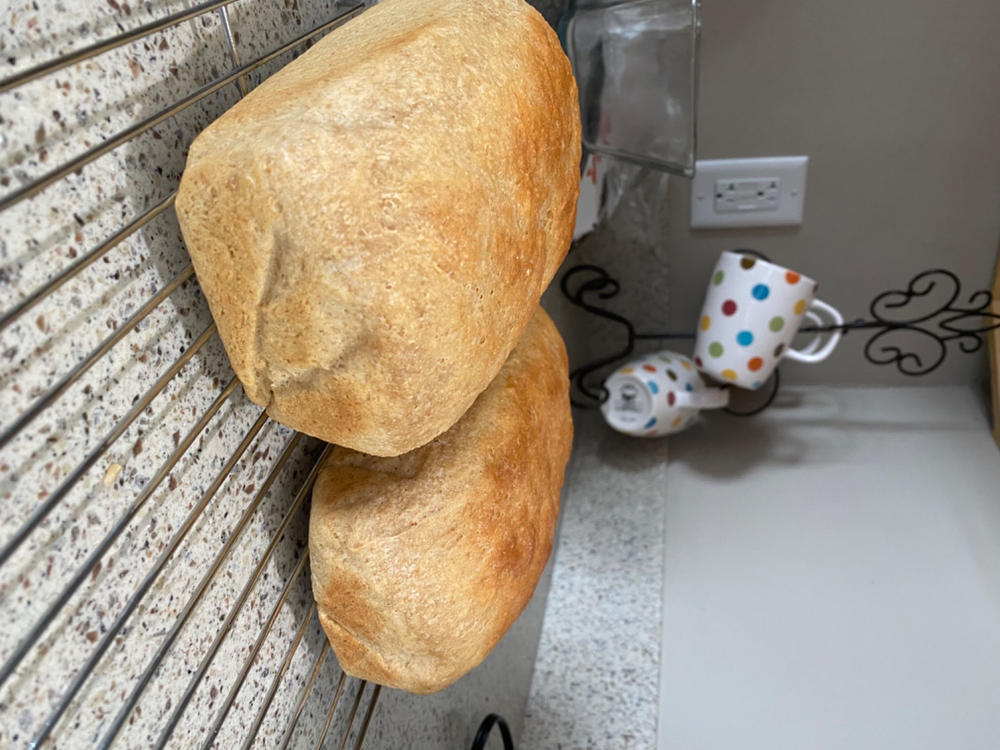 Heritage Wheat Berries - Customer Photo From Chris G.