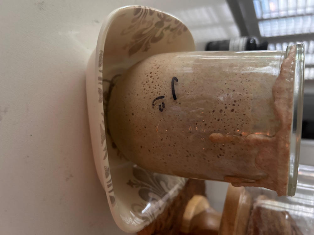 Sourdough Starter - Customer Photo From Wendy F.