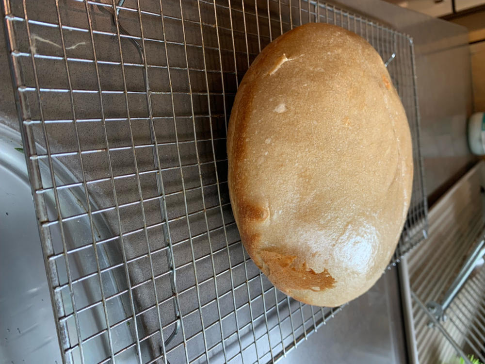 Deluxe Sourdough Starter Kit - Customer Photo From Lawrence G.