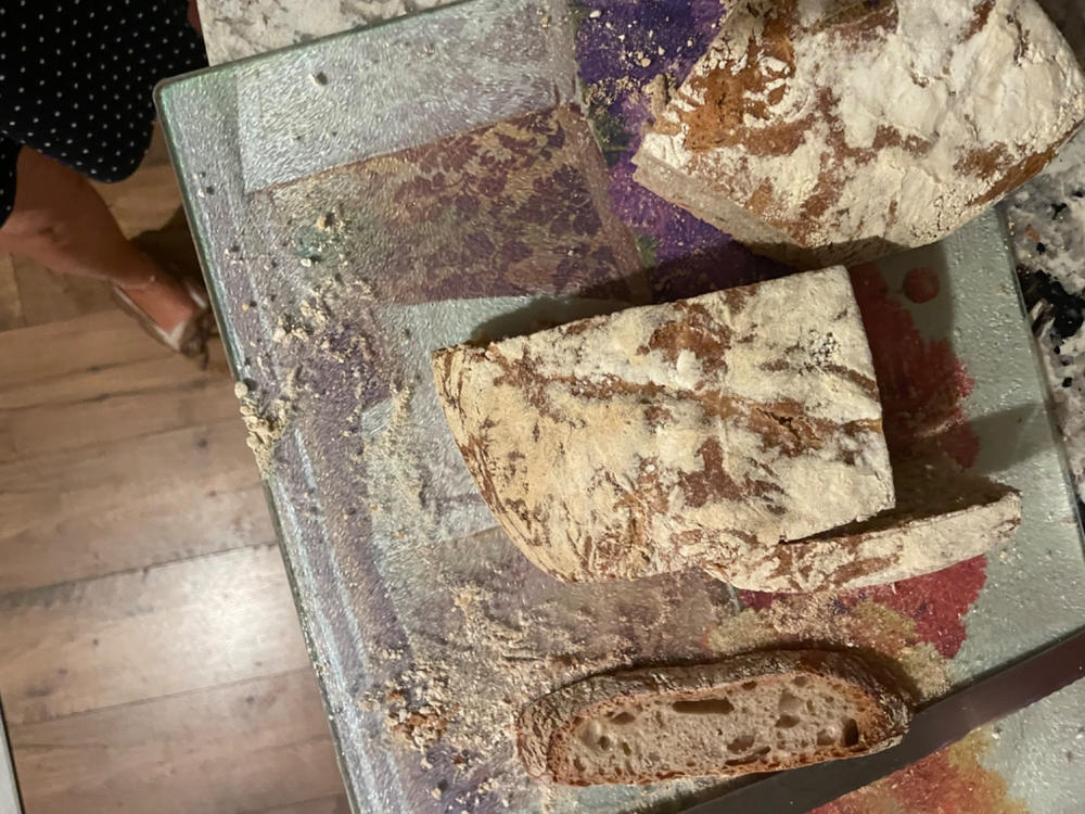 Organic Fine Rye Flour - Customer Photo From Michele P.