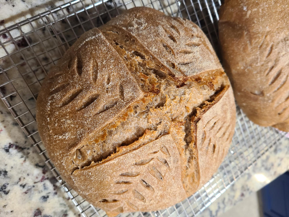 Organic Fine Rye Flour - Customer Photo From Dayana B.