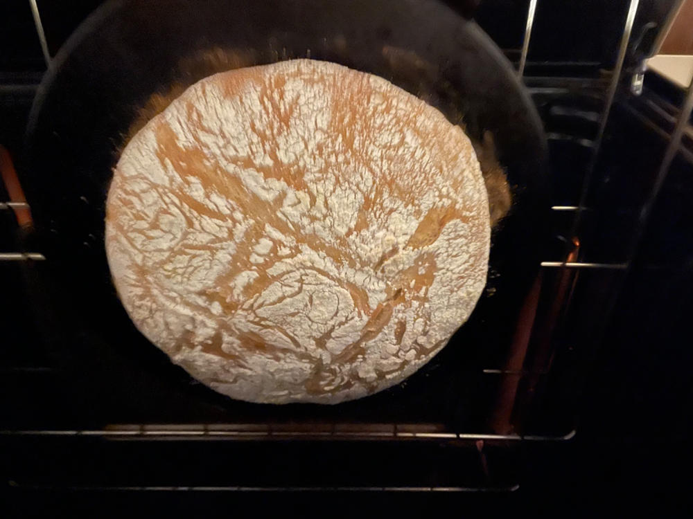 Organic Fine Rye Flour - Customer Photo From Michele P.
