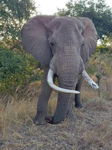 Africa Travel SIM - 10GB Data - 25 Countries | 30 Day Plan - Customer Photo From Tracey Summers