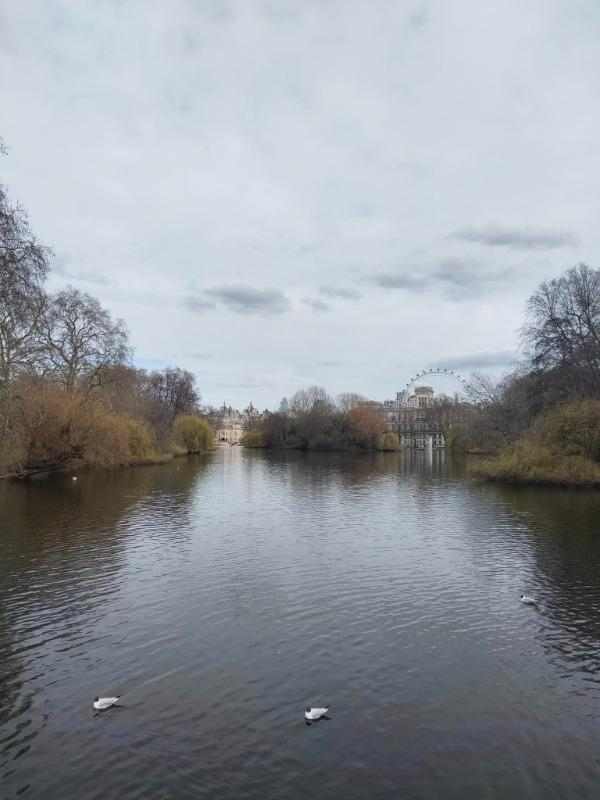 UK & Europe 30GB Travel SIM | 30GB Data in UK - 12GB in EU | Unlimited Calls + Texts | Three UK - Customer Photo From Hugo Webster