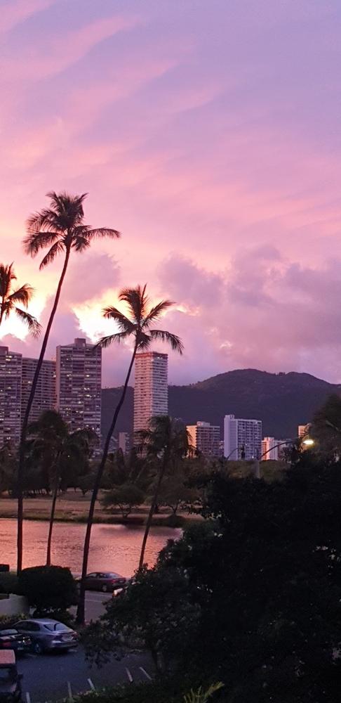 USA 15 Days Travel SIM Card | Unlimited High Speed 5G & 4G Data | T-Mobile - Customer Photo From Janet Berruex