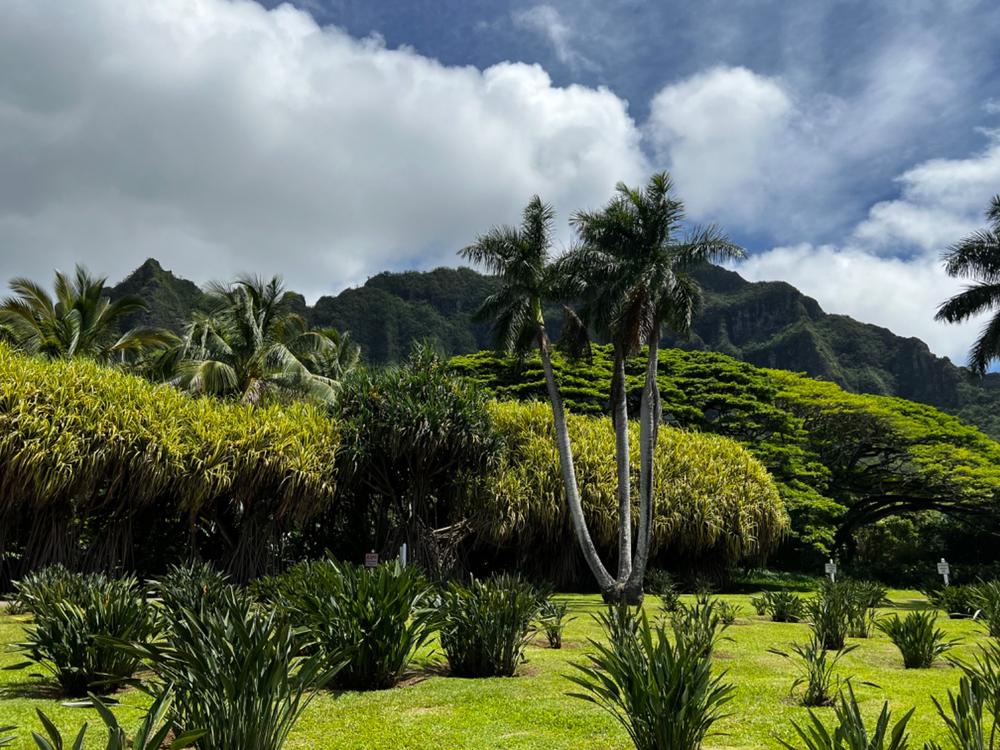 USA 30 Days Travel SIM Card | Unlimited High Speed 5G & 4G Data | T-Mobile - Customer Photo From Kerry O’Dowd Haretuku