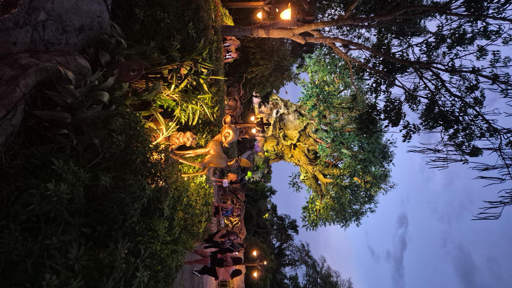 USA 30 Days Travel SIM Card | Unlimited High Speed 5G & 4G Data | T-Mobile - Customer Photo From Rebecca Foster